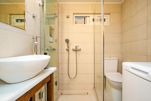 ein Badezimmer mit Dusche, Waschbecken und Toilette in der Unterkunft Mountain Mini Suite in Áyioi Dhéka