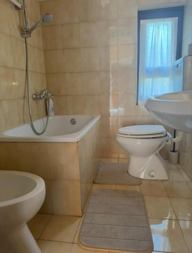 a bathroom with a toilet and a sink and a shower at da rifare 1 in Solto Collina