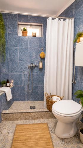 a bathroom with a shower curtain and a toilet at Hana Skadar Lake - 200 metara do jezera in Prevlaka