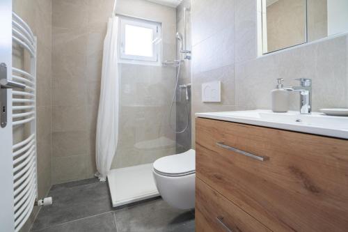 a bathroom with a toilet and a sink and a shower at La vue Appartement Gruyère in Bulle