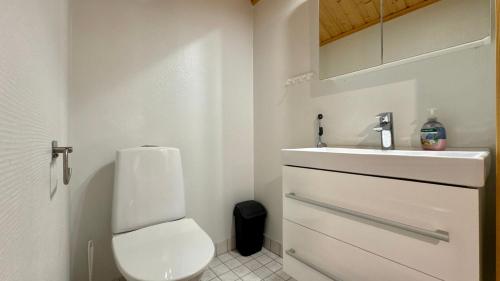 a bathroom with a white toilet and a sink at Koivulantie 11 A 2 in Tahkovuori