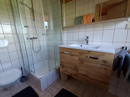 a bathroom with a shower and a sink and a toilet at Ferienhaus Regina in Werfenweng