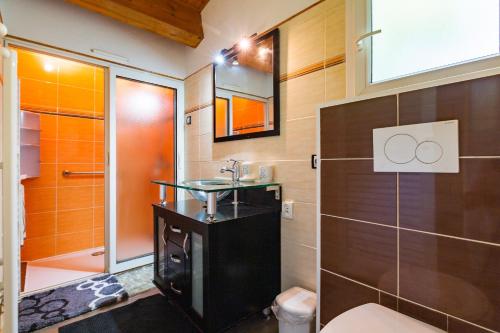 a bathroom with a sink and a toilet and a mirror at Les Issignols - Chambre d'hotes in Colombier-le-Vieux