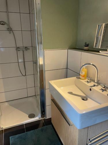 a bathroom with a sink and a shower at Ferienhaus an der Felsenkirche in Idar-Oberstein