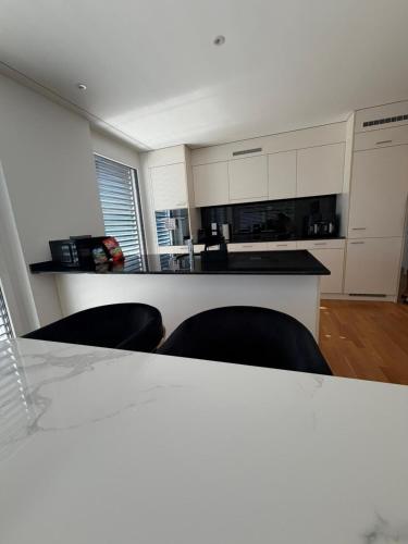 Curated visual reference: Gallery Detail: Luxury Penthouse Apartment Mit Rooftop Terrasse Dulliken Opdaterede
