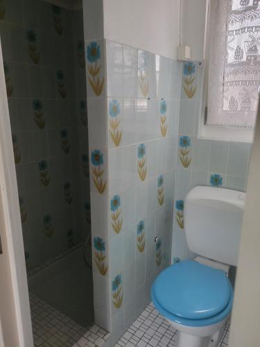 a bathroom with a blue toilet and a shower at La maison des Cigognes in Hésingue