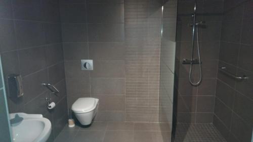 a bathroom with a shower and a toilet and a sink at la grange du coudert in Saint-Cybranet