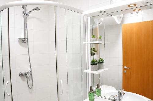 a bathroom with a shower and a sink at Honey Apartment in Moravske-Toplice