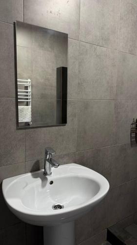 a bathroom with a white sink and a mirror at Хутір Hall in Radisne