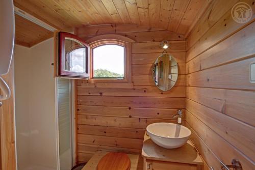 a bathroom with wooden walls and a sink and a mirror at La roulotte à la ferme in Palogneux