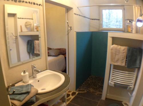 a small bathroom with a sink and a mirror at Chambre d'hôtes de Paille et d'Argile in Touligny