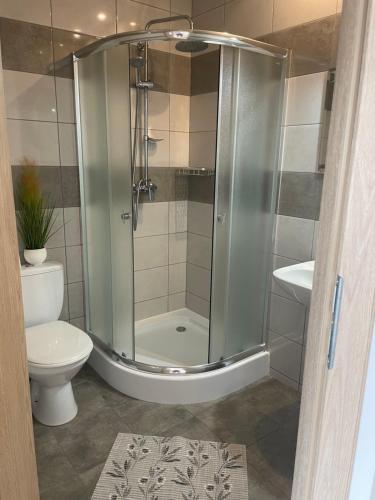 a bathroom with a shower and a toilet at Gregorek in Ostrowo