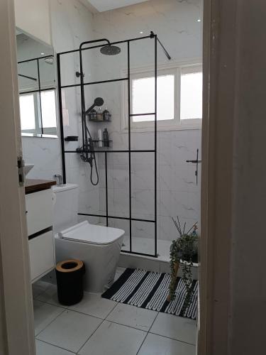 a bathroom with a shower and a toilet at AP Museu Maputo in Maputo
