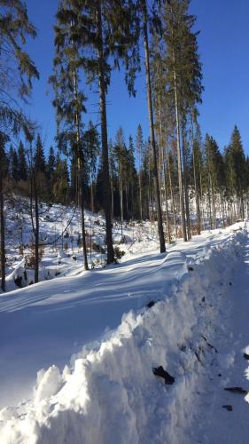 Apartament Margarita "OZONOWANY"