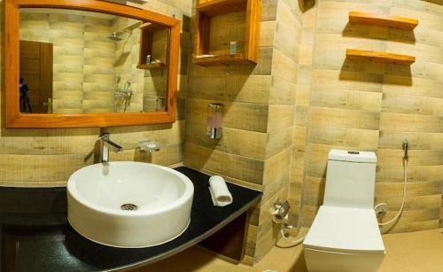 a bathroom with a sink and a toilet and a mirror at DANFÉ Lodge Halesi in Lamidanda