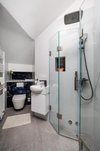a bathroom with a toilet and a glass shower at Apartments Bellavista in Matulji