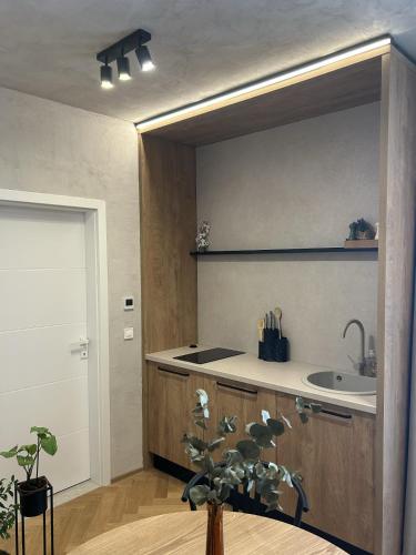 Wims - Romantic studio with private jacuzzi, garden & parking