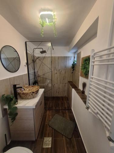 a bathroom with a shower and a sink at Șura Moșului in Dobîca