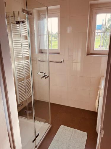 a shower with a glass door in a bathroom at Auszeit im Chursbachtal in Callenberg