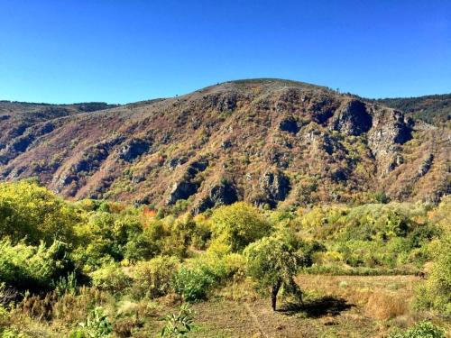 a mountain with a bunch of trees in front of it at Kruchma Bratyata Guest House in Kovachevitsa