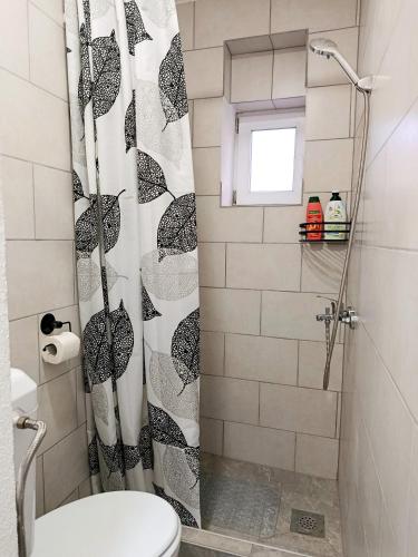 a bathroom with a shower with a toilet and a shower curtain at Travnik Memories Apartments in Travnik