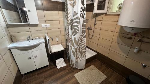a small bathroom with a sink and a shower at Age Gone By Guesthouse in Kemenesmihályfa