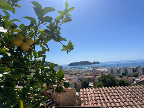 Mediterrània 21