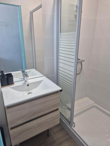 a bathroom with a sink and a shower at L'Escale Sablaise in Les Sables-d'Olonne