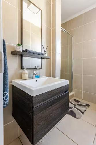 a bathroom with a sink and a mirror and a shower at Above Cozy Corner Amsterdam in Northriding