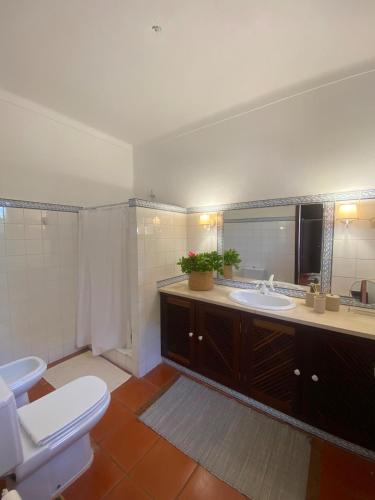 a bathroom with a toilet and a sink and a mirror at Casa Merino in Évora