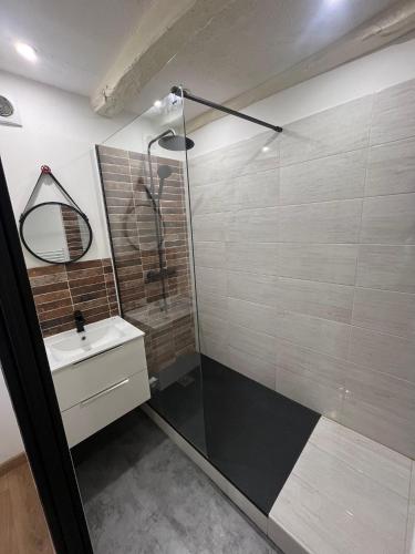 a bathroom with a shower and a sink at Appartement Limoges in Limoges