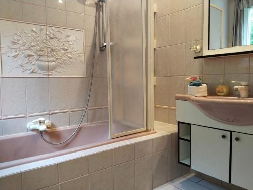a bathroom with a shower and a sink at Ferienwohnung Jauk in Gleinstätten