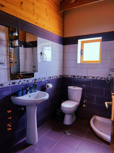 a bathroom with a white toilet and a sink at Mountain Attic Near Përmet in Biovizhdë