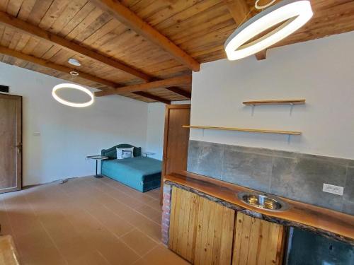 a room with a sink and a couch in it at ILIS House Matka Canyon - 2 in Skopje