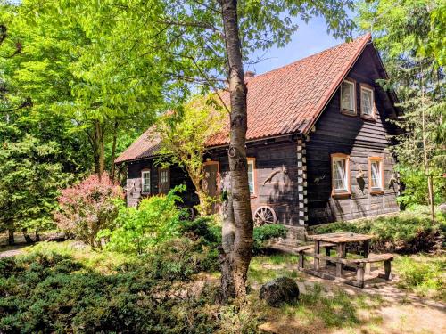 a log cabin with a picnic table in front of it at Dom ukryty przed światem - Szeroki Bór in Ruciane-Nida