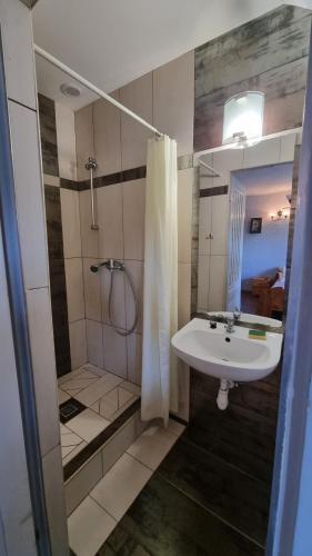 a bathroom with a sink and a shower at Agroturystyka u Bogusi in Sarbinowo