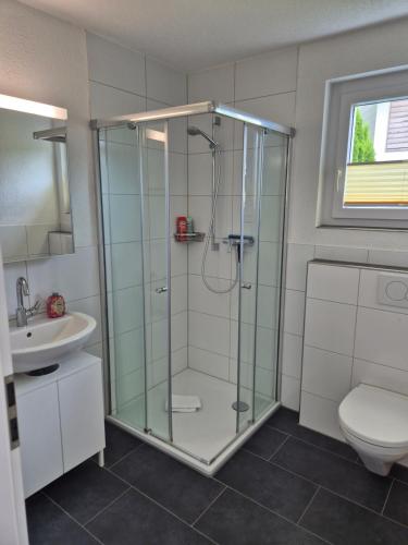 a bathroom with a glass shower and a toilet at Alpine Bliss Studio in Wilderswil