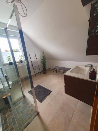 a bathroom with a shower and a sink at Ferienwohnung Pension Zwethau in Beilrode