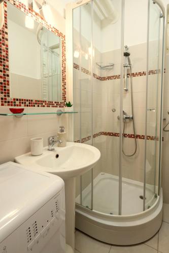 a bathroom with a sink and a shower at Apartman Ruza 1 in Poljane