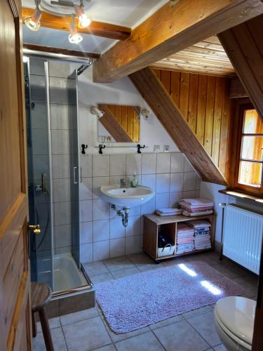 a bathroom with a shower and a sink at Skansen Gottwaldówka in Kąty Bystrzyckie