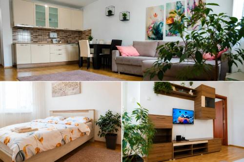 a bedroom and a living room with a bed and a kitchen at Alacaster G apartman FREE PARKING in Novi Sad