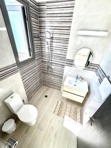 a bathroom with a toilet and a sink and a mirror at Villa Tuludis in Drousha