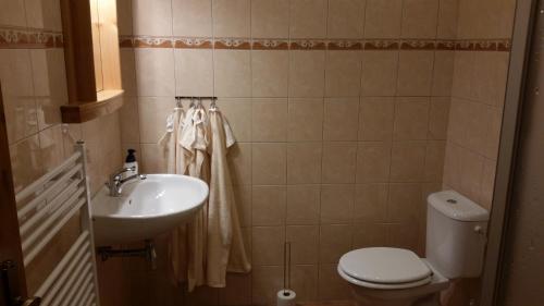 małą łazienkę z toaletą i umywalką w obiekcie Penzion Stará Fořtovna Brdy w mieście Bohutín
