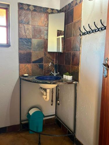 a bathroom with a sink and a mirror at Kudu Plaas - Wildlife on your doorstep in Beestekraal