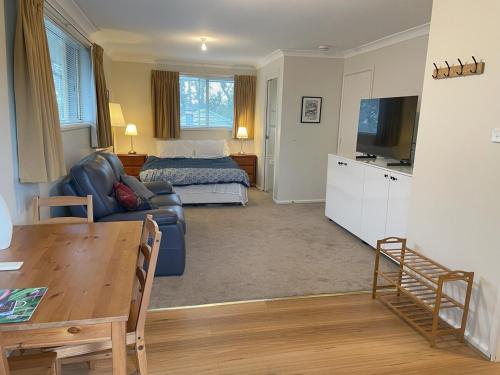 a living room with a couch and a bed at Natures Nest near Scenic World in Katoomba