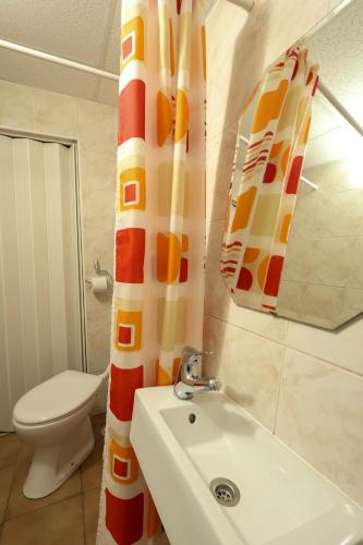 a bathroom with a sink and a toilet and a shower curtain at Apartman Ruza 3 in Poljane