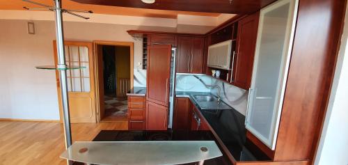 a small kitchen with a sink and a counter at Vila Bělá pod Pradědem in Bělá pod Pradědem