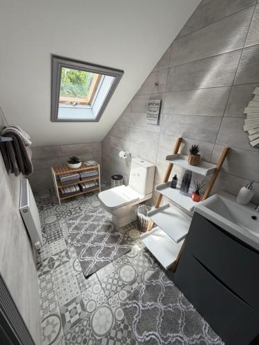 a bathroom with a toilet and a sink at Salmon Weir Lodge in Cong