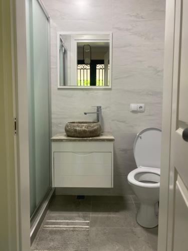 a bathroom with a sink and a toilet at Zurkas’ guesthouse in Batumi