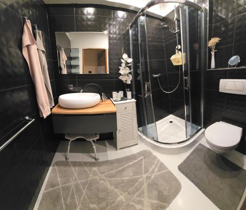 a bathroom with a sink and a shower and a toilet at SWINEMÜNDE Fewo Speckmann in Świnoujście